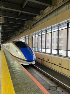 大宮　かがやき501